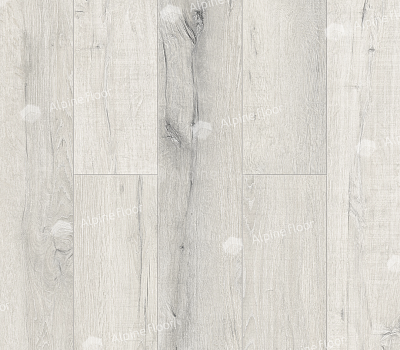 Каменный SPC ламинат Alpine Floor Premium XL Дуб Слоновая Кость