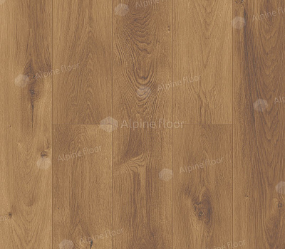 Каменный SPC ламинат Alpine Floor Premium XL Дуб Насыщенный