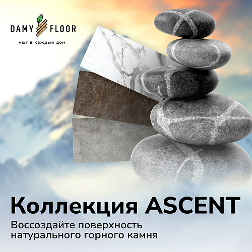 Damy Floor Ascent