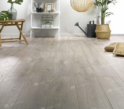 Ламинат Homflor Distingo 536 Long Island