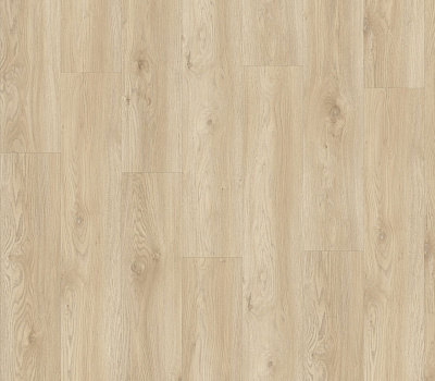 Кварцвиниловая плитка Moduleo Next 400095120 TORRE OAK 248