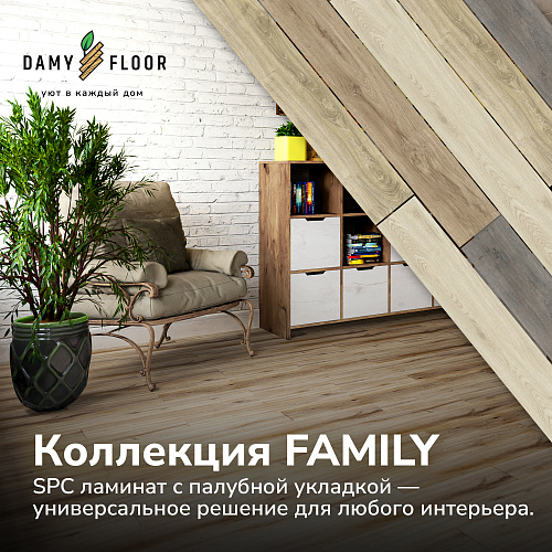 Damy Floor Family