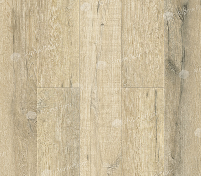 Каменный SPC ламинат Alpine Floor Premium XL Дуб Сливочный